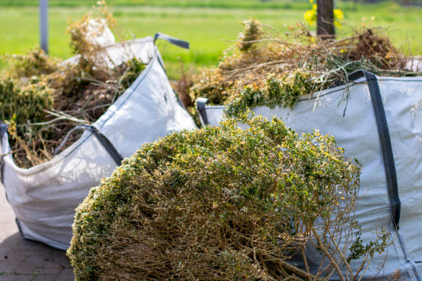 Debris Removal in Camden, AL